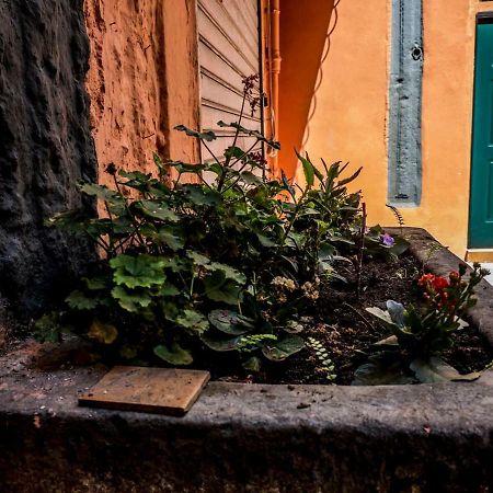 Little House Napoli 아파트 외부 사진