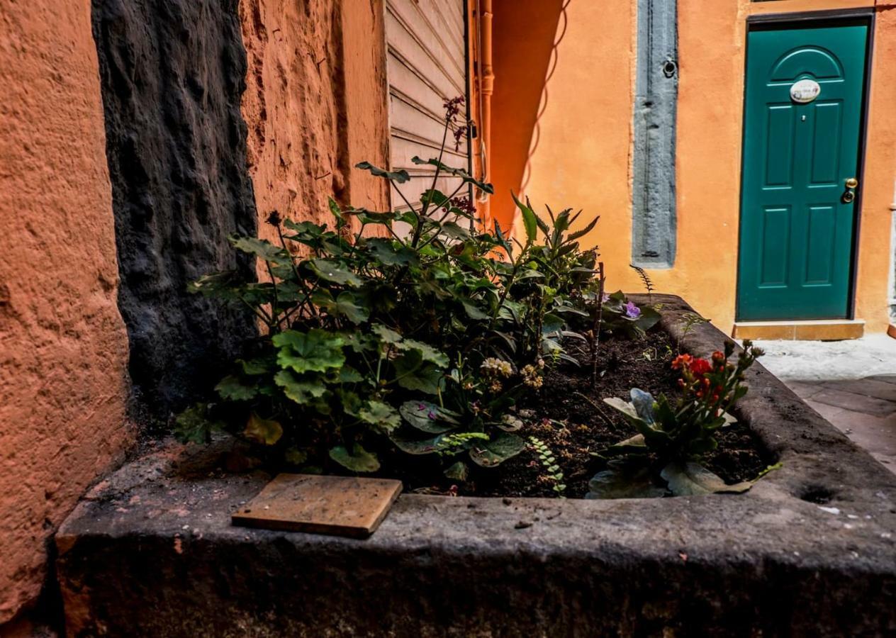 Little House Napoli 아파트 외부 사진